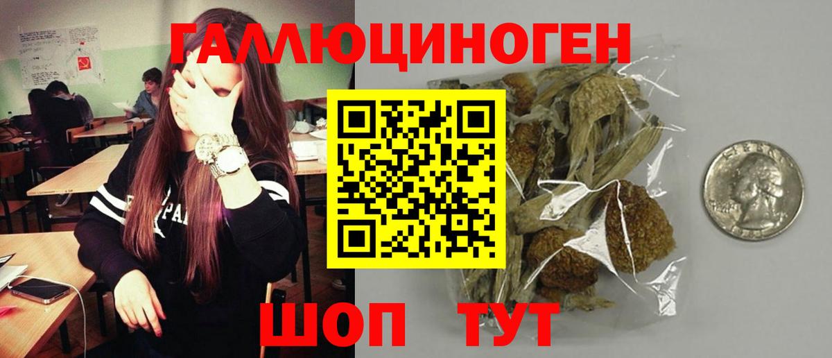 Галлюциногенные грибы Magic Shrooms  Вход с VPN  Мичуринск  Галлюциногенные грибы Magic Shrooms 